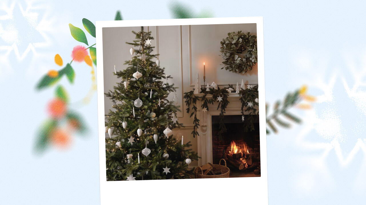 Live Tree Inside