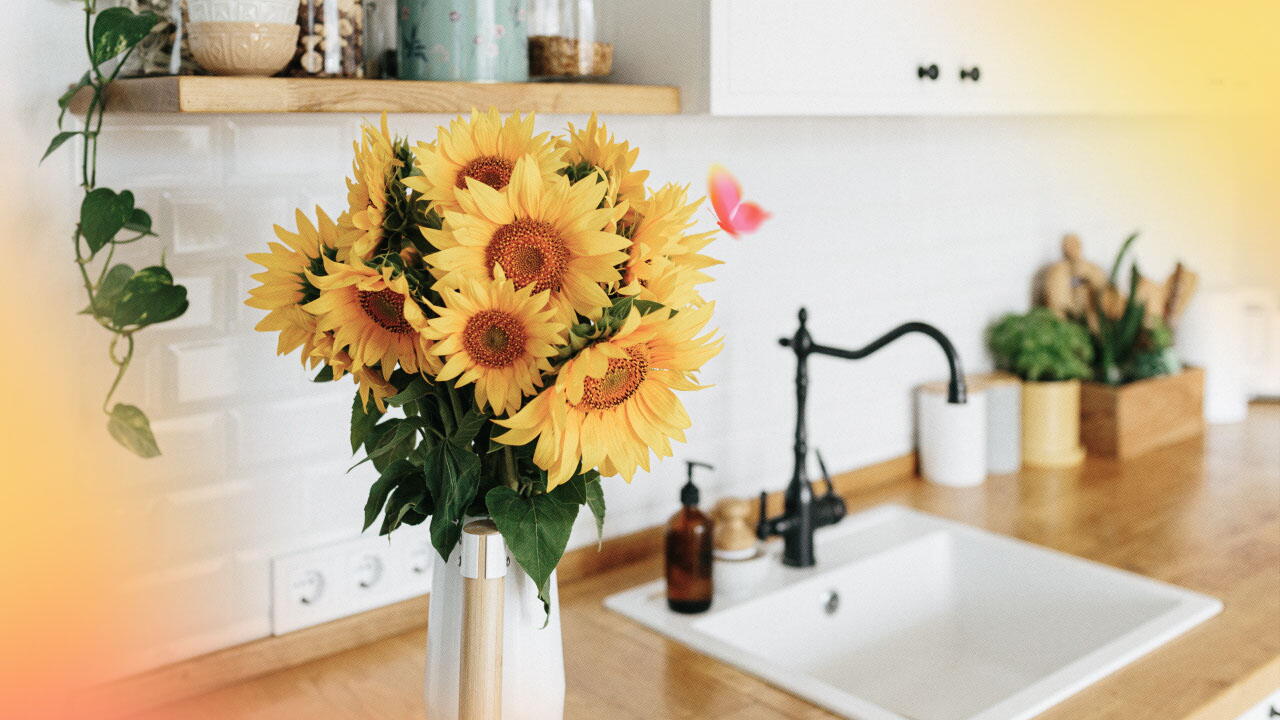 significado de regalar un girasol