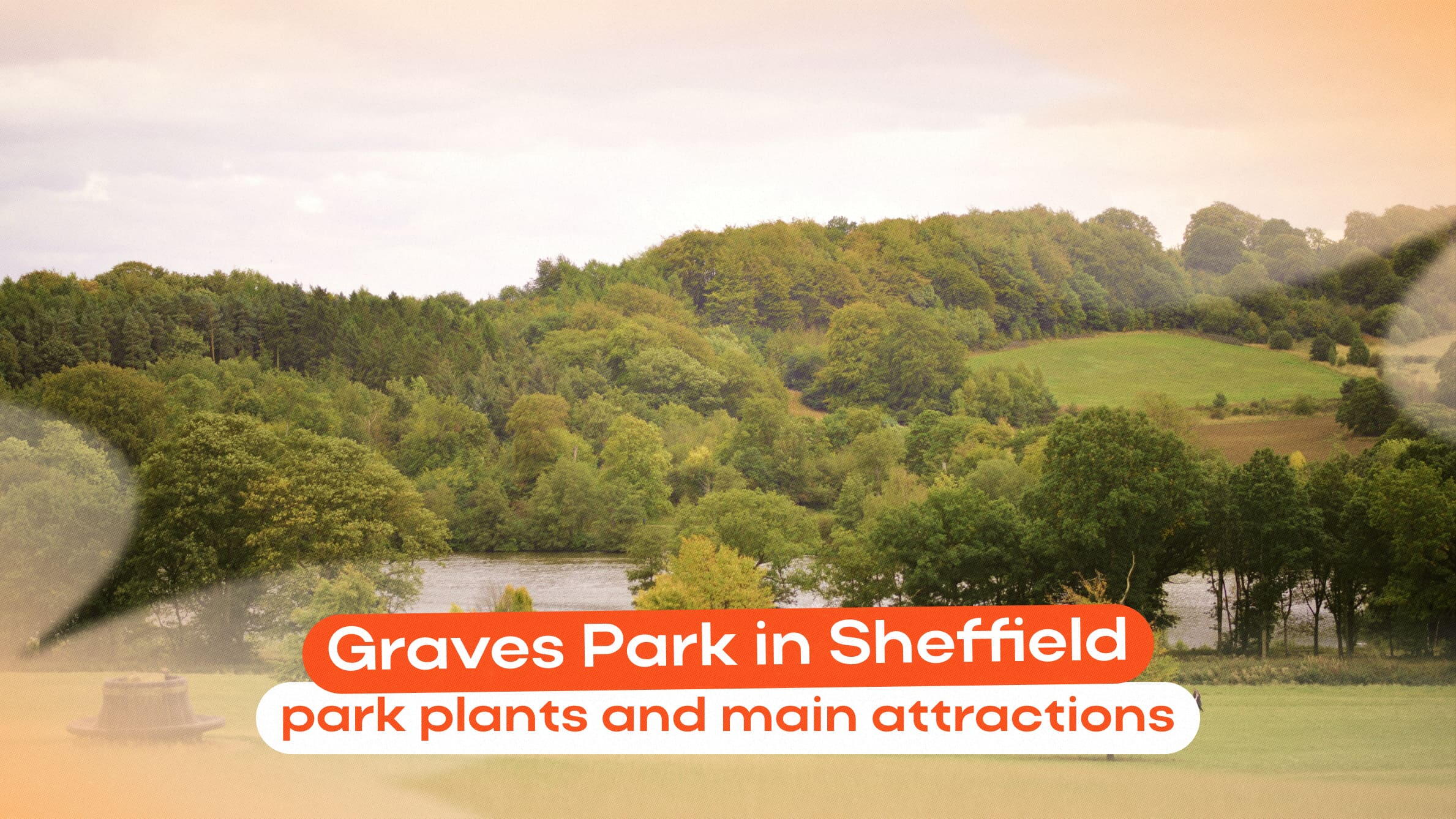 Graves Park in Sheffield: park plants and main attractions