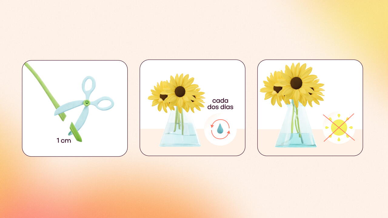 cuidar un ramo de girasoles