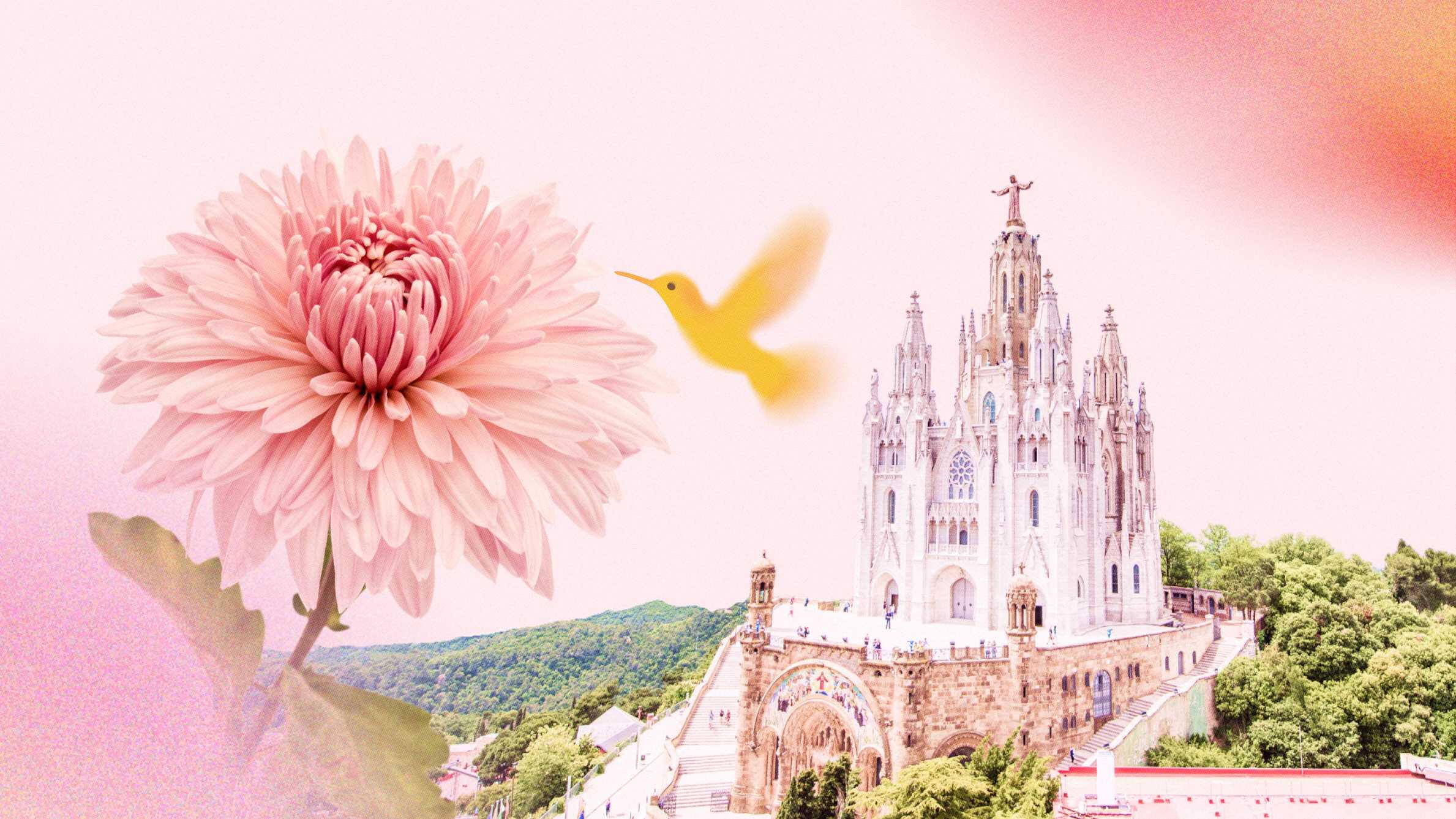 El crisantemo en festividades y tradiciones
