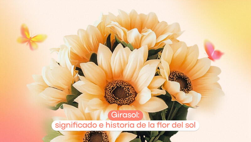 significado girasol
