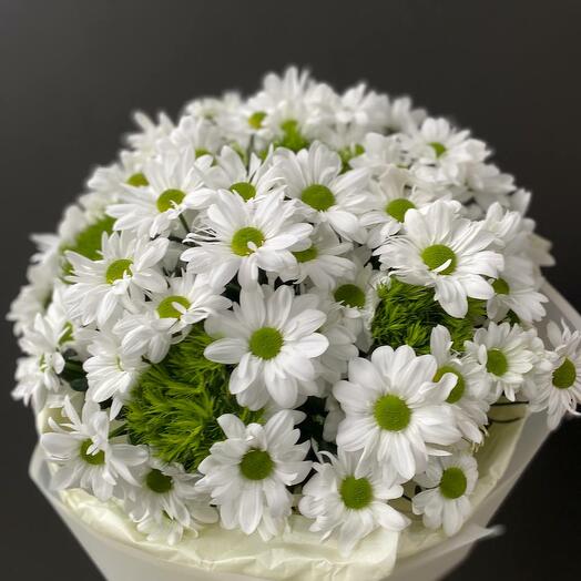 Weiße Chrysanthemen