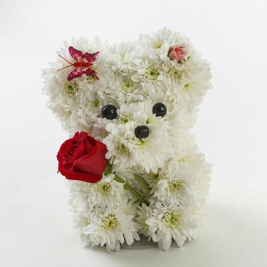 Mischa Bear