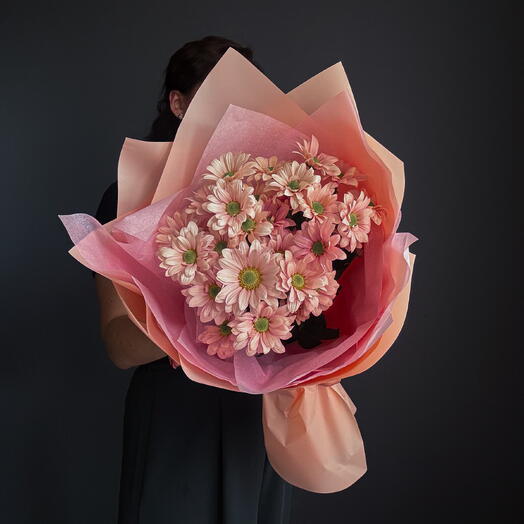 MD 3 Peach Mums