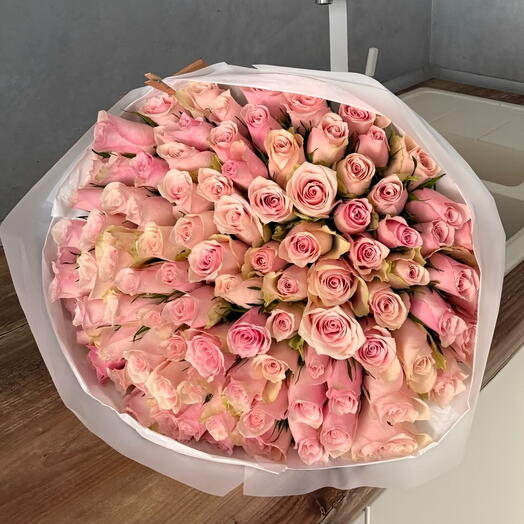 101 Pink roses