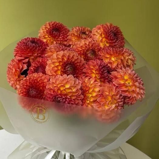 Dahlia 15