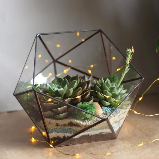 Florarium Moon