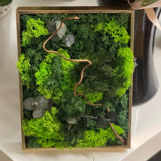 Stabilized moss