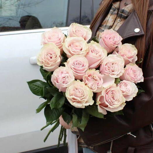 15 Pink Mondial ROSES