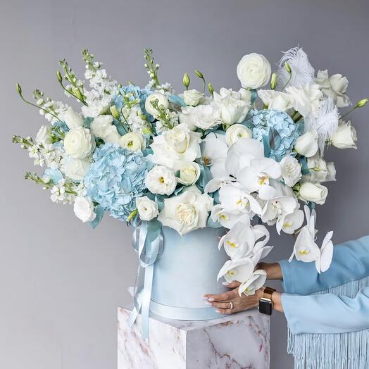 White-blue