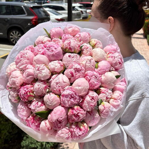 51 pink peonies