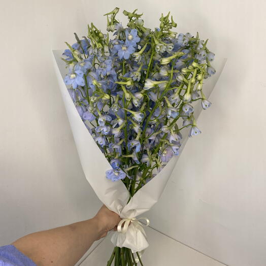 Delphinium