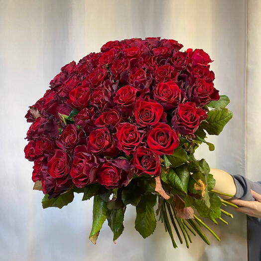 Red Rose