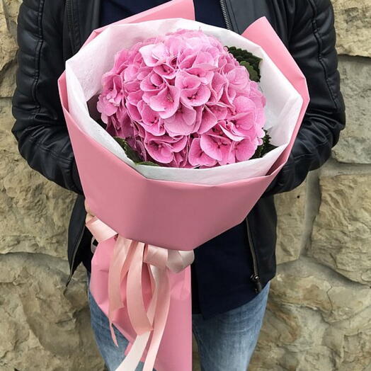Pink hydrangea