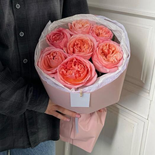 Monobucket of 7 peony-shaped Pink Express roses