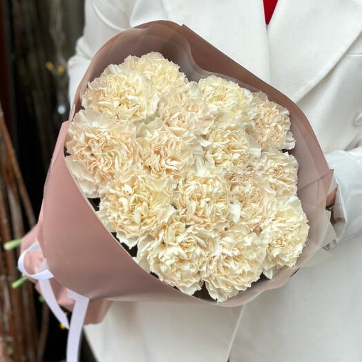 Cream Carnation 15pcs
