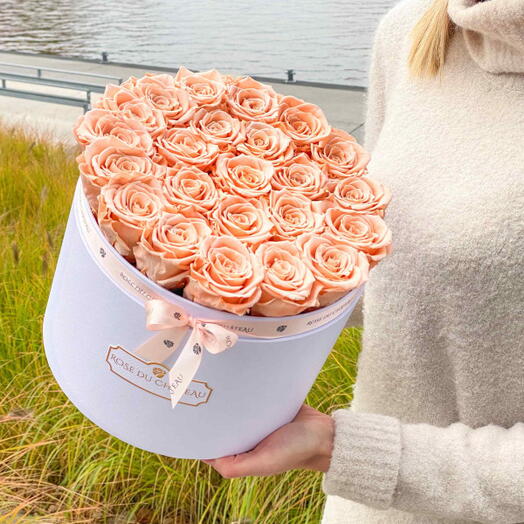 Tea-Colored Preserved Roses in a Large White Box