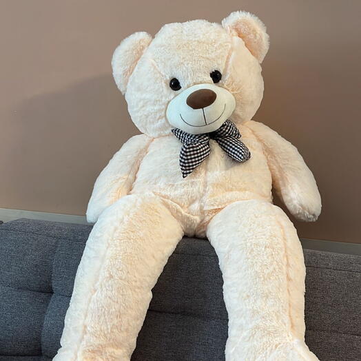 Large White Plush Teddy Bear