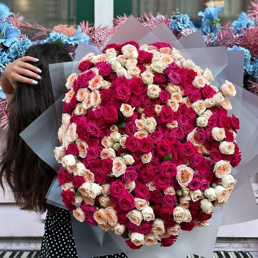 Classic of Roses