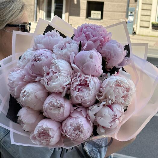 Peony N5