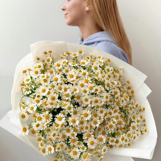 Daisies