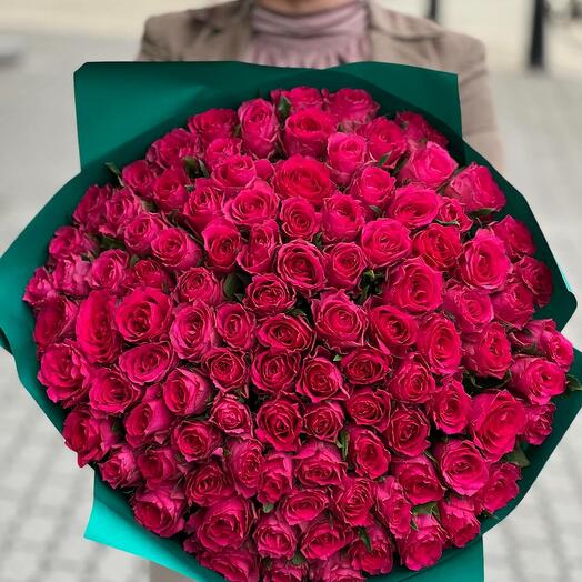 101 Fuchsia