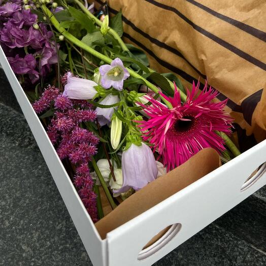 Box DIY