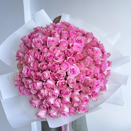 101 pink roses