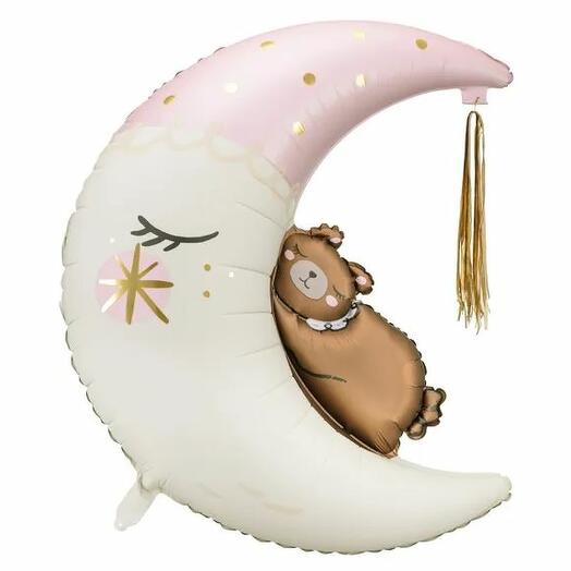 Teddy on the moon for girls