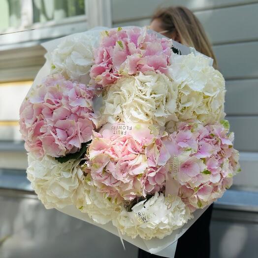 White Pink Beauty
