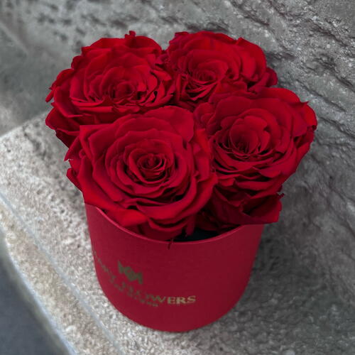 review-photo-before