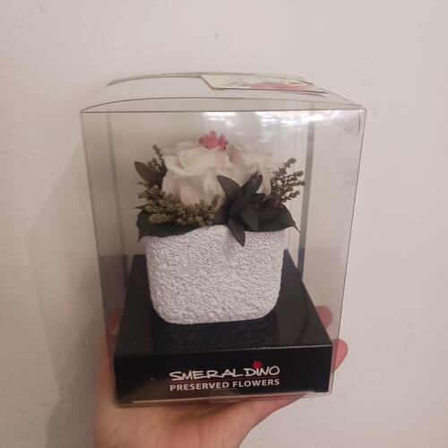 review-photo-before