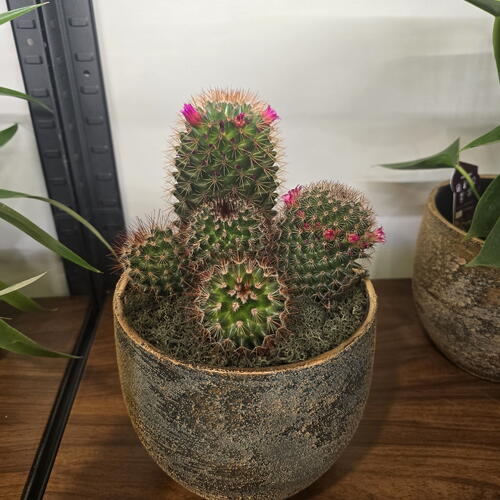 review-photo-before