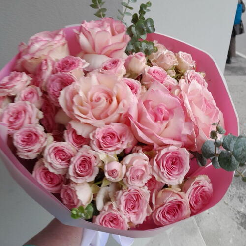 review-photo-before