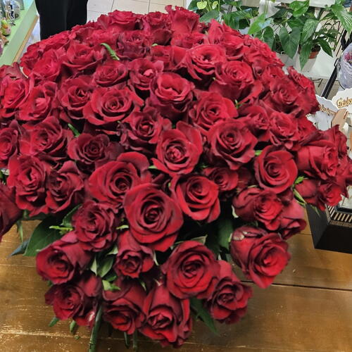 review-photo-before