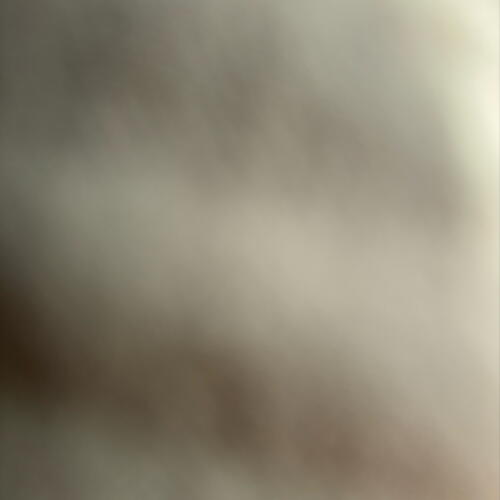 review-photo-before