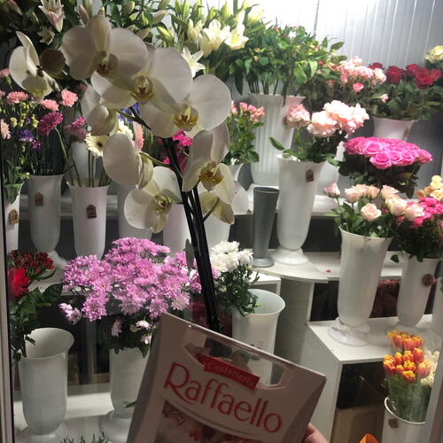 review-photo-before