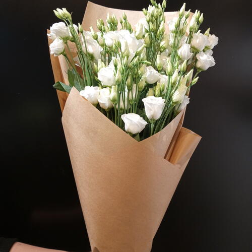 review-photo-before