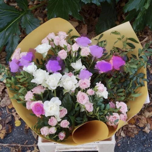 review-photo-before