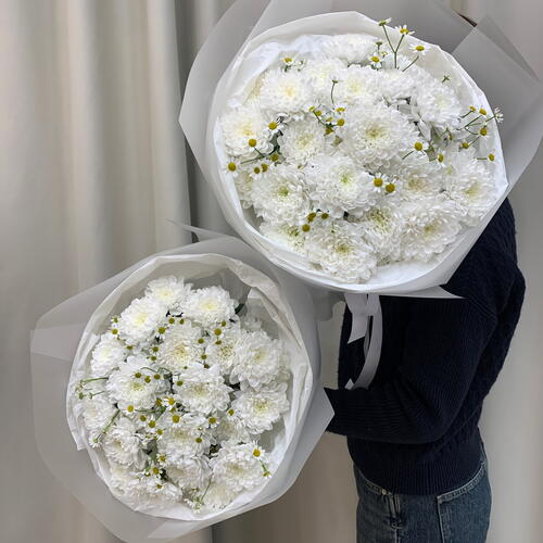 review-photo-before