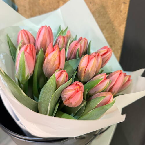 review-photo-before