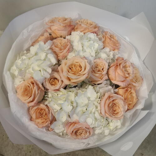 review-photo-before