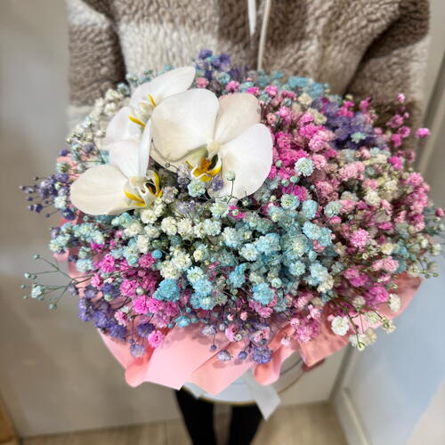review-photo-before